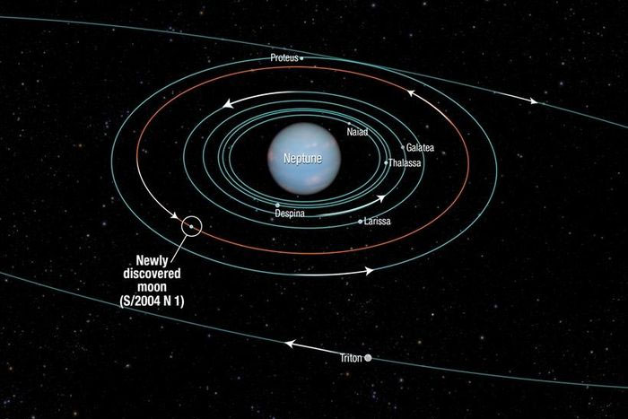 Quỹ đạo một số mặt trăng của sao Hải Vương. (Nguồn: NASA/ESA).