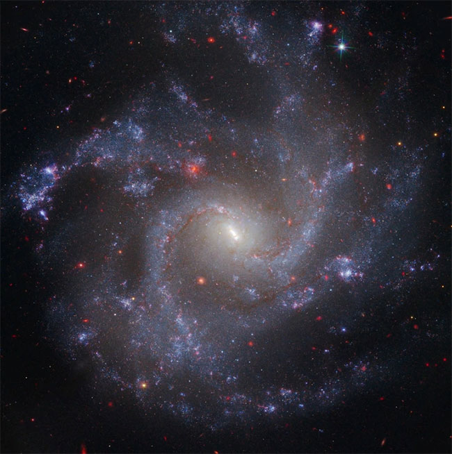 Dữ liệu từ kính viễn vọng không gian Hubble và James Webb đã được kết hợp để chụp ảnh NGC 5468, một thiên hà nằm cách Trái đất khoảng 130 triệu năm ánh sáng - (Hình ảnh: Webb NIRCam Hubble WFC3).