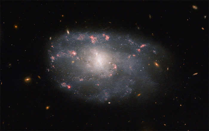 Ảnh Thiên hà NGC 5486 chụp bởi kính viễn vọng Hubble. (Ảnh: NASA).