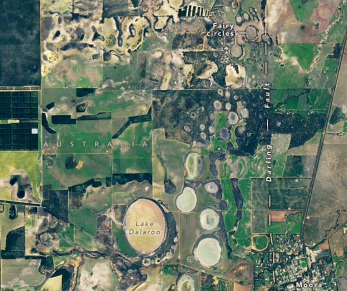 Ảnh Vệ tinh Landsat 9 chụp ảnh các vòng tròn thần tiên gần thị trấn Moora, Australia. (Ảnh: NASA Earth Observatory).